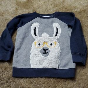 Fuzzy Llama sweatshirt